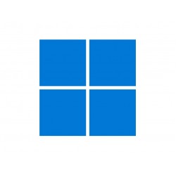 OS: Windows 11 PRO OEM ML 64-bit installed