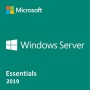 OS: Microsoft Windows Server 2019 Essentials 64bit, 1-2 CPU, EN